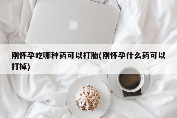 米非司酮片在线下单药店刚怀孕吃哪种药可以打胎(刚怀孕什么药可以打掉)