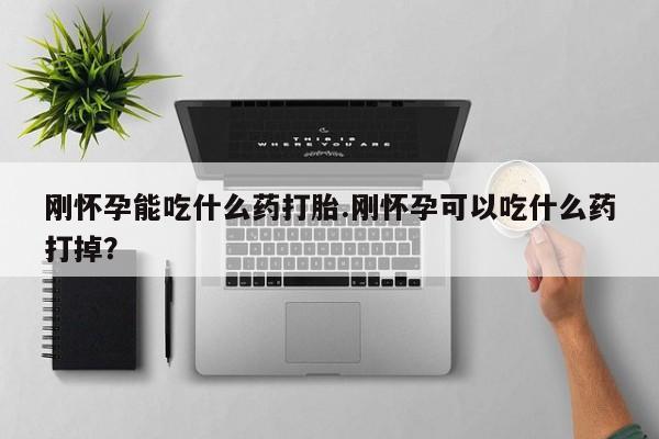 米非司酮片在线下单药店刚怀孕能吃什么药打胎.刚怀孕可以吃什么药打掉？
