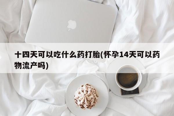 米非司酮片在线下单药店十四天可以吃什么药打胎(怀孕14天可以药物流产吗)